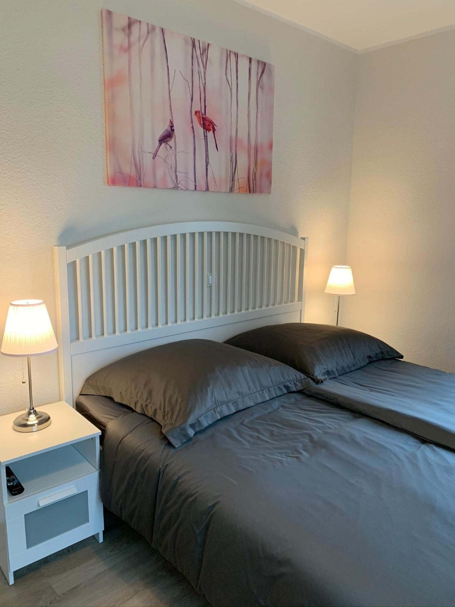Ferienwohnung 2404 App 6 In בורהאבה מראה חיצוני תמונה